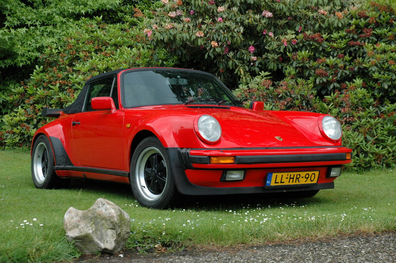 #10316 - Alleen Rood