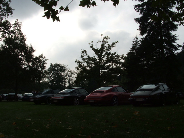 #13319 - Porsche Herfstrit