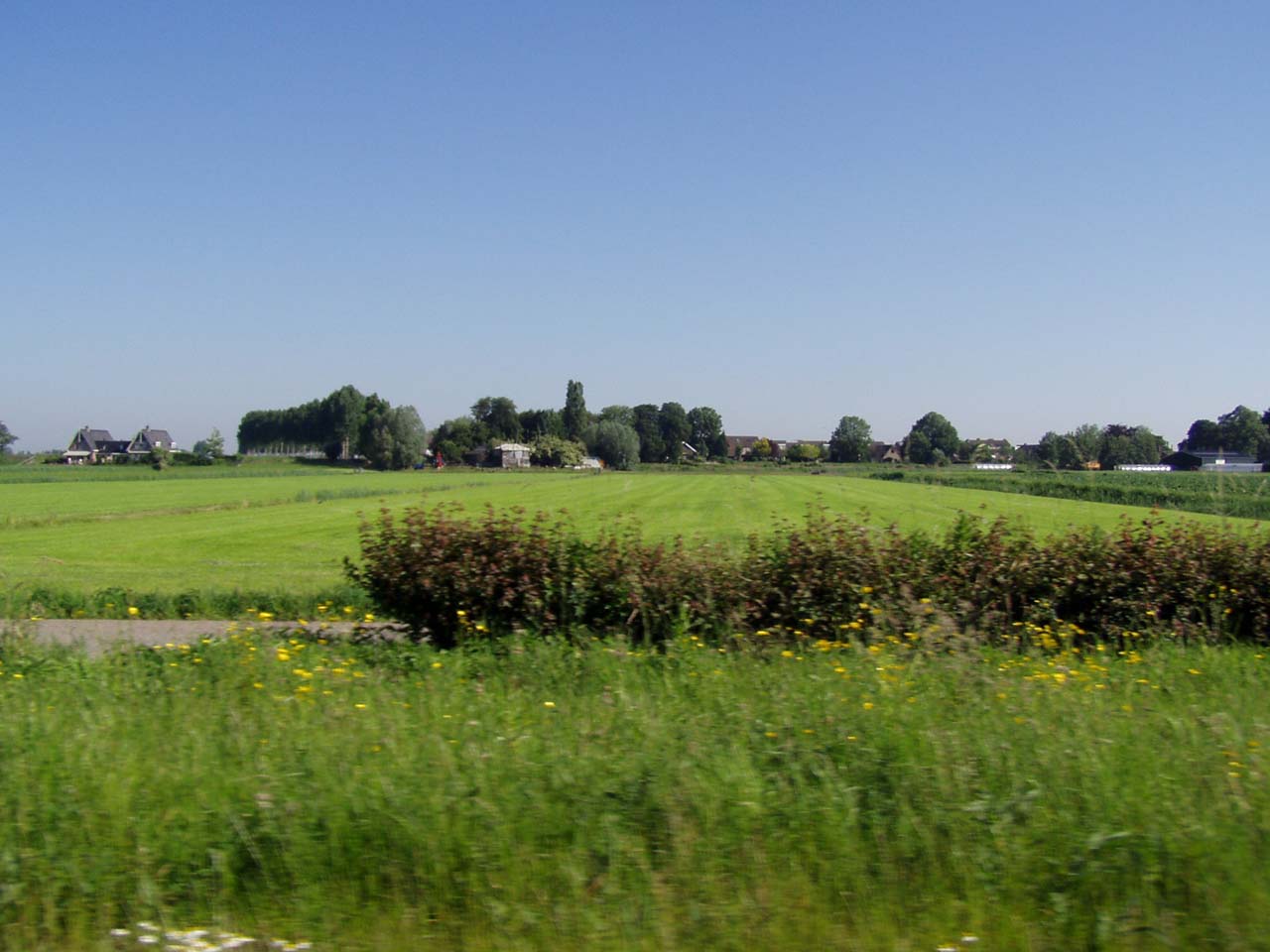 #17928 - Mooi weer