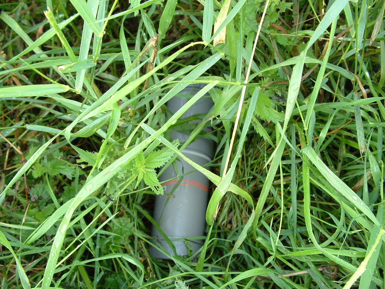 #19553 - PFT Hunt deel 6 (hint 2)