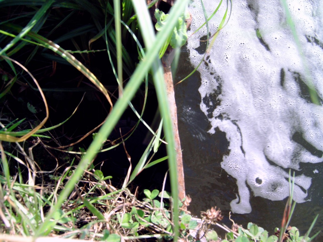 #19617 - ligplaats pft 7