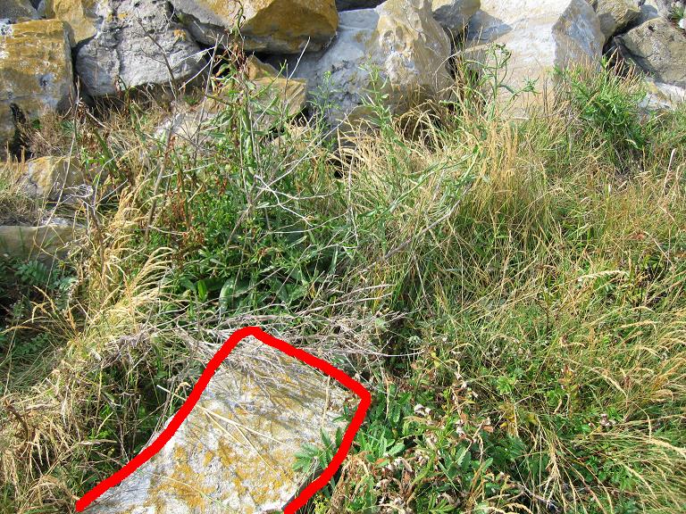 #19843 - en du wat duidelijker