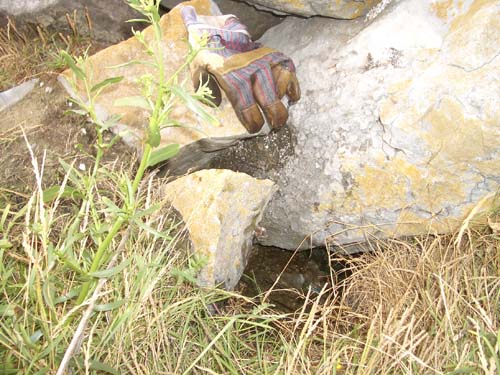 #19881 - De handschoen