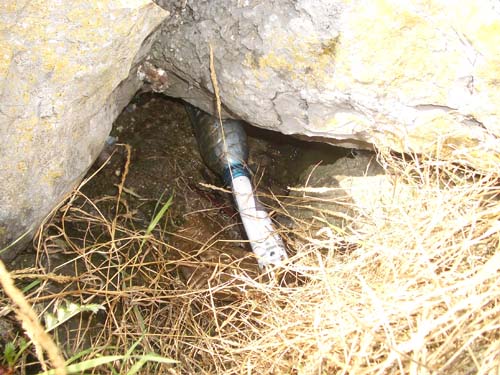 #19882 - De fles voor Pascal!