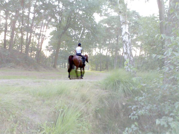 #19963 - PFT 10 - 10