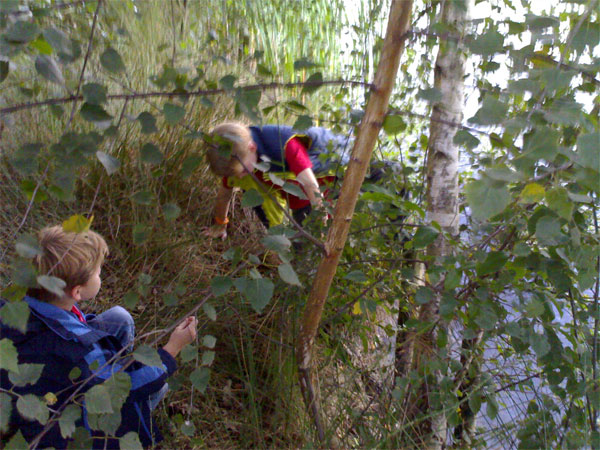 #19965 - PFT 10 - 10