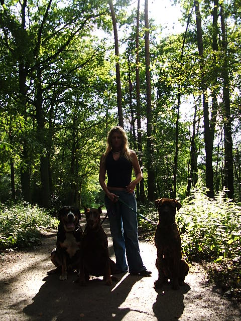 #20413 - Goed gezelschap