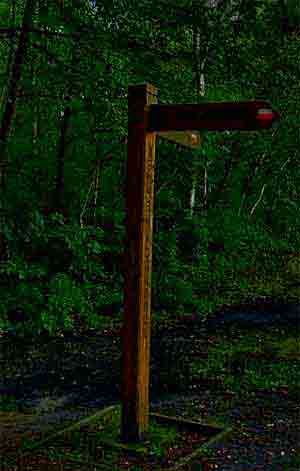 #20436 - helaas te donker