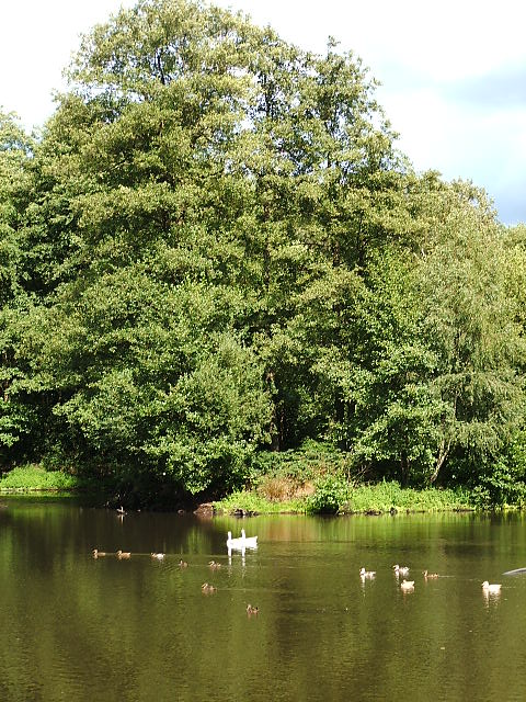 #20456 - Zicht vanuit bankje