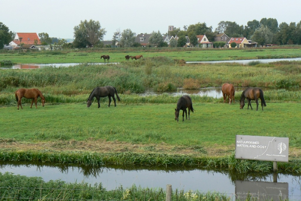 #21232 - Meer waterland