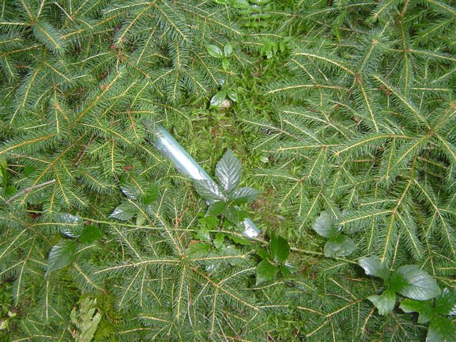 #21302 - PFT ? eh nee