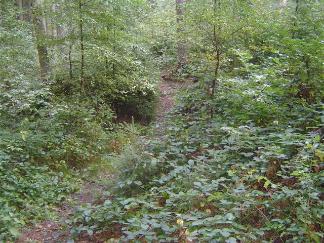 #21303 - daar ligt hij toch! ????