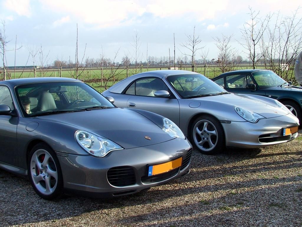 #2173 - Veel verschillen en 1 overeenkomst .... gewoon mooi! #2173 - Veel verschillen en 1 overeenkomst .... gewoon mooi!