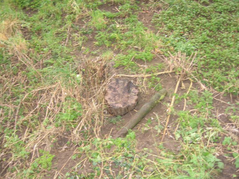 #23656 - hier ligt hij