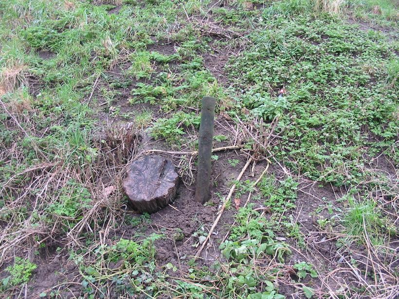 #23665 - wat 'n bagger