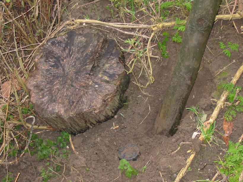 #23666 - stukje zichtbaar