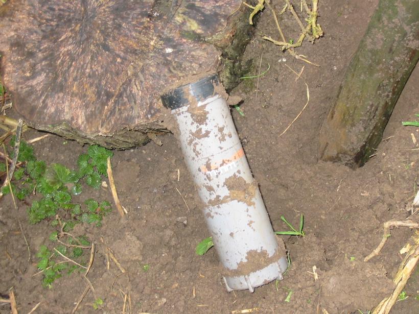 #23667 - ... eindelijk ...