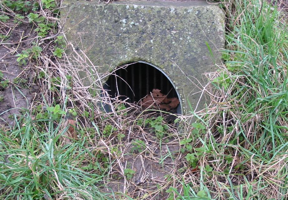 #23671 - Wist je hoeveel er hier van zijn op Bastion Groningen ?