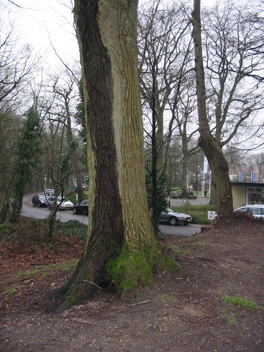 #23716 - Hier lag 'ie