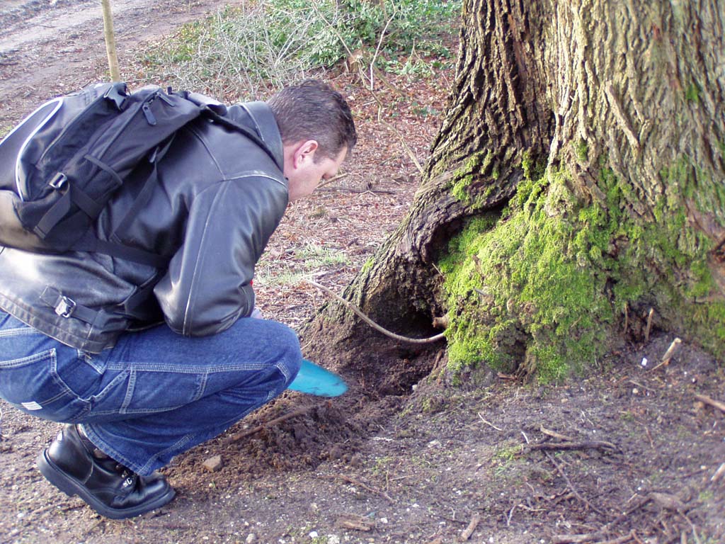 #23720 - Harley graaft de PFT op