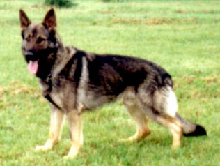 #23900 - PFT 18 aanwijzing 1