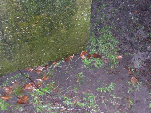 #24331 - De vindplaats