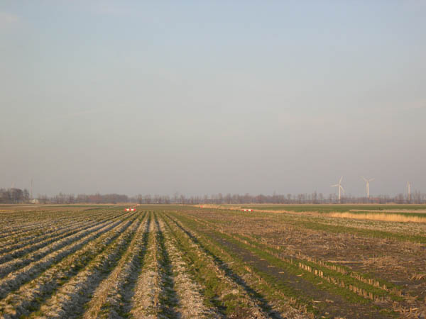 #24758 - PFT deel 20