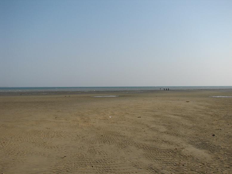 #26112 - Hunt 24 - 002b