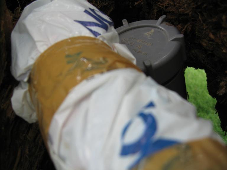 #26185 - Begin van de Rijn