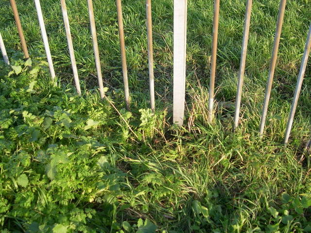 #29872 - Aanwijzing 1a