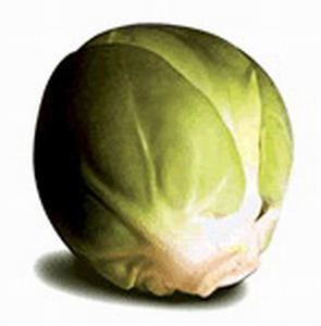 #29873 - Aanwijzing 1b