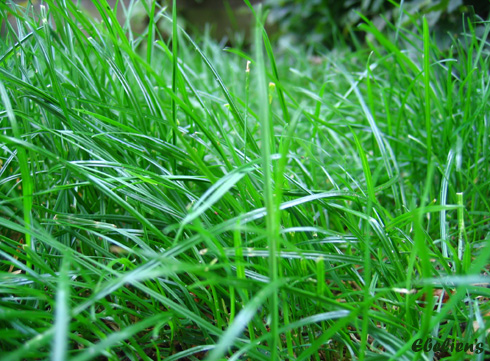 #29876 - Aanwijzing 5