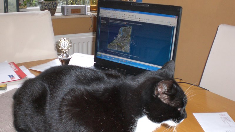 #30127 - Hunt 29 afsluiting