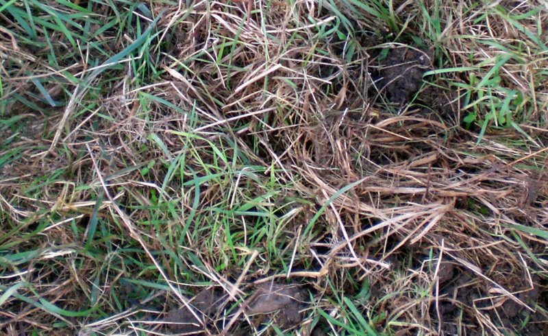 #30144 - Aanwijzing 1