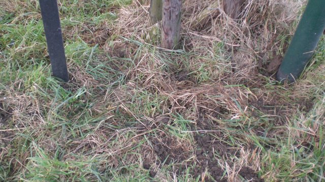 #30240 - Aanwijzing 27