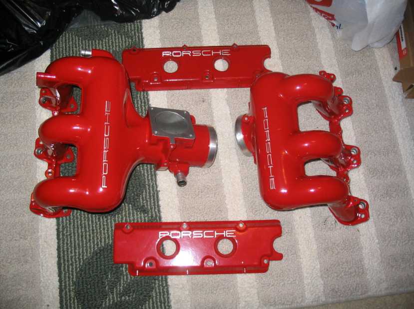 #30420 - testa rossa 1