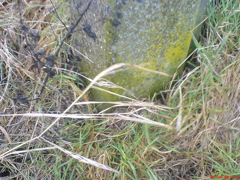 #30626 - hint pft31/1