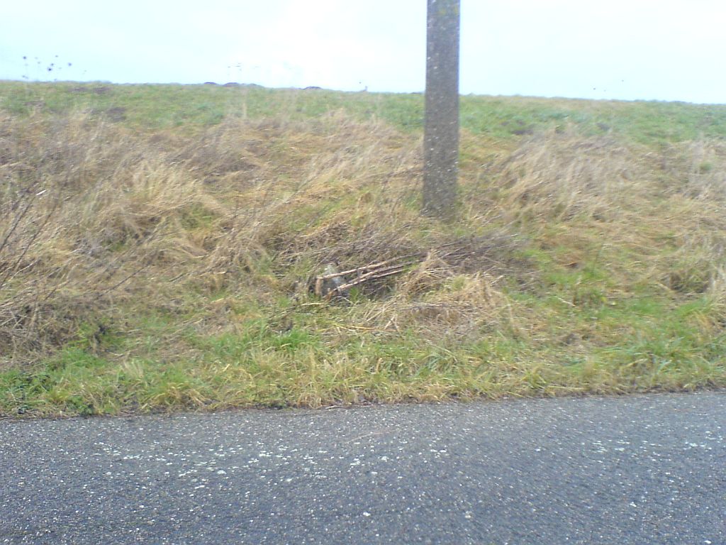 #30691 - paal vanaf "spijkerweg"