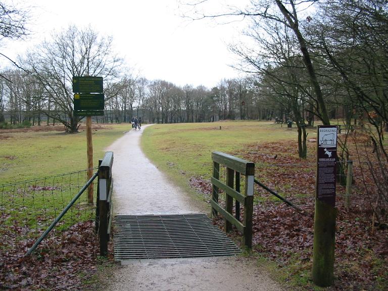 #30784 - De door mij genomen ingang naar de Tafelberg-heide #30784 - De door mij genomen ingang naar de Tafelberg-heide