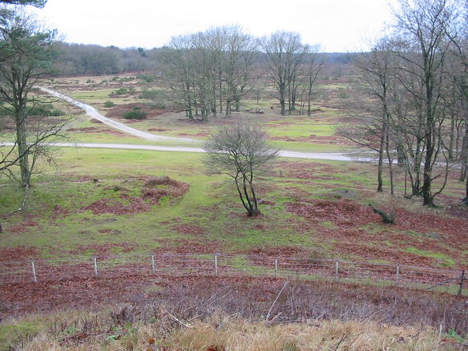 #30794 - Van bovenaf gezien ..