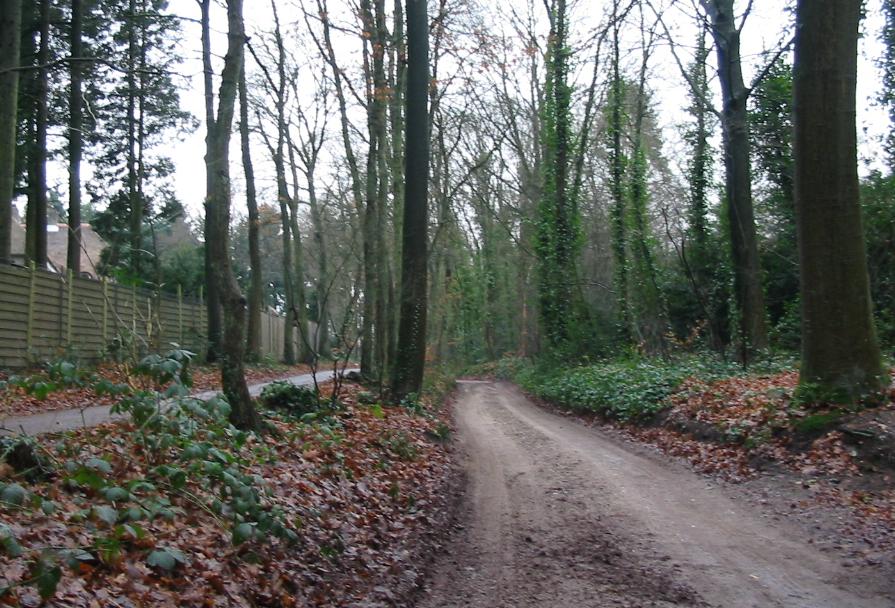 #30809 - Toch wel fijn, winterbanden ...