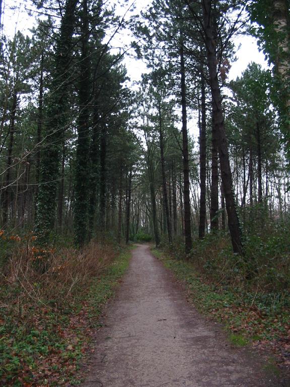 #30811 - Fietspad tussen Tafelbergweg en Boissevainweg N526