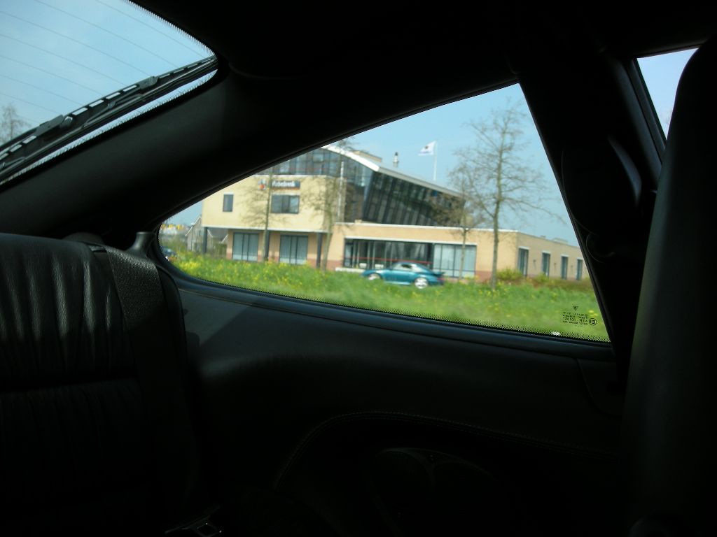 #34354 - Kikker in het gras #34354 - Kikker in het gras