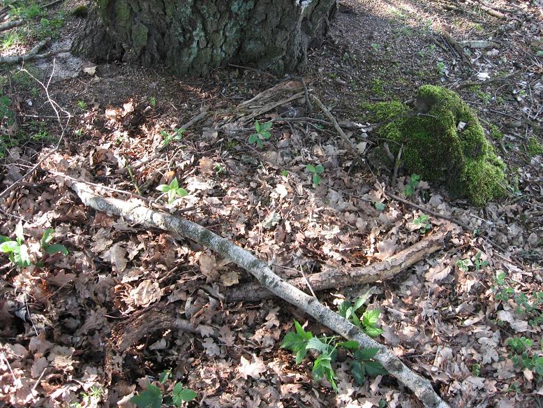#35102 - PFT #38 - Hint 18