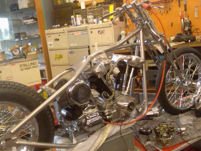 #35961 - Little Bastard