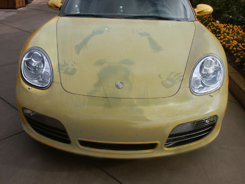 #36217 - S.x on Hood