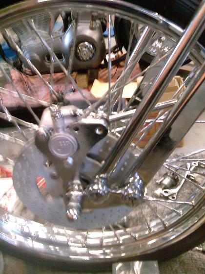 #36990 - Little Bastard