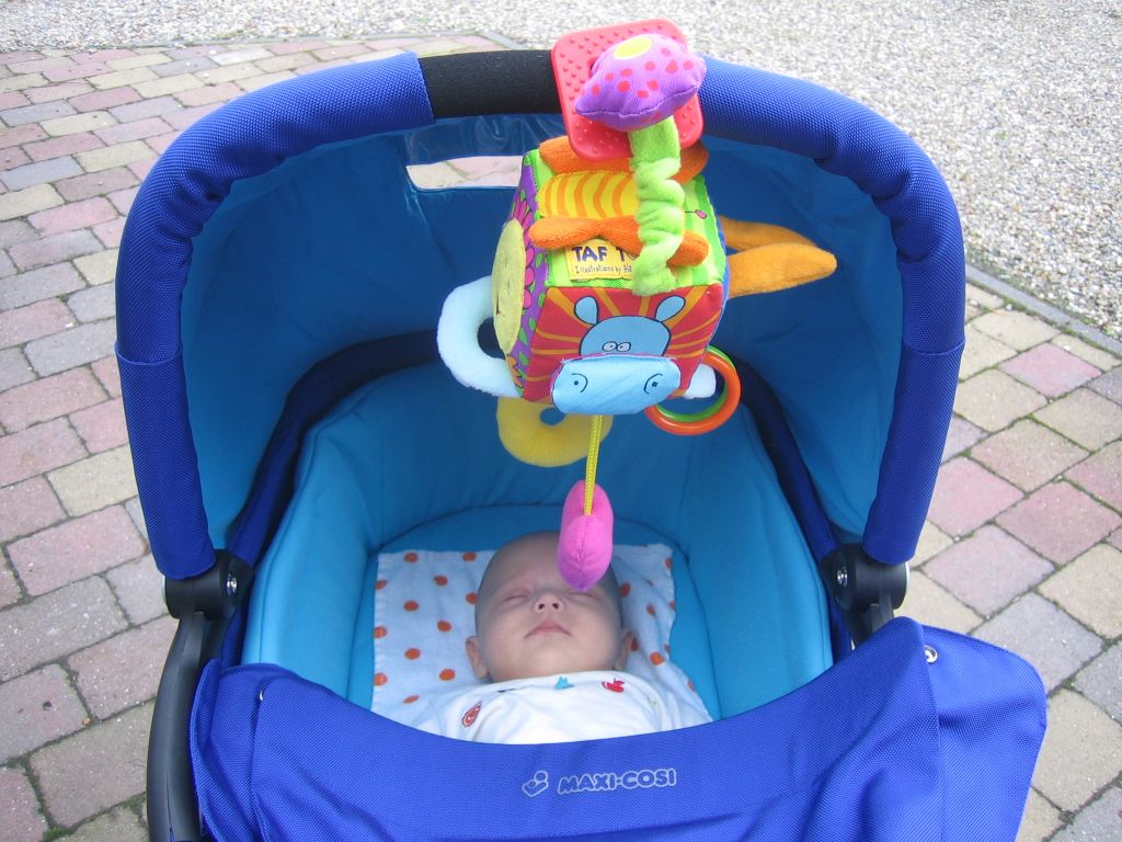 #37425 - Ze kunnen er niet vroeg genoeg aan wennen #37425 - Ze kunnen er niet vroeg genoeg aan wennen