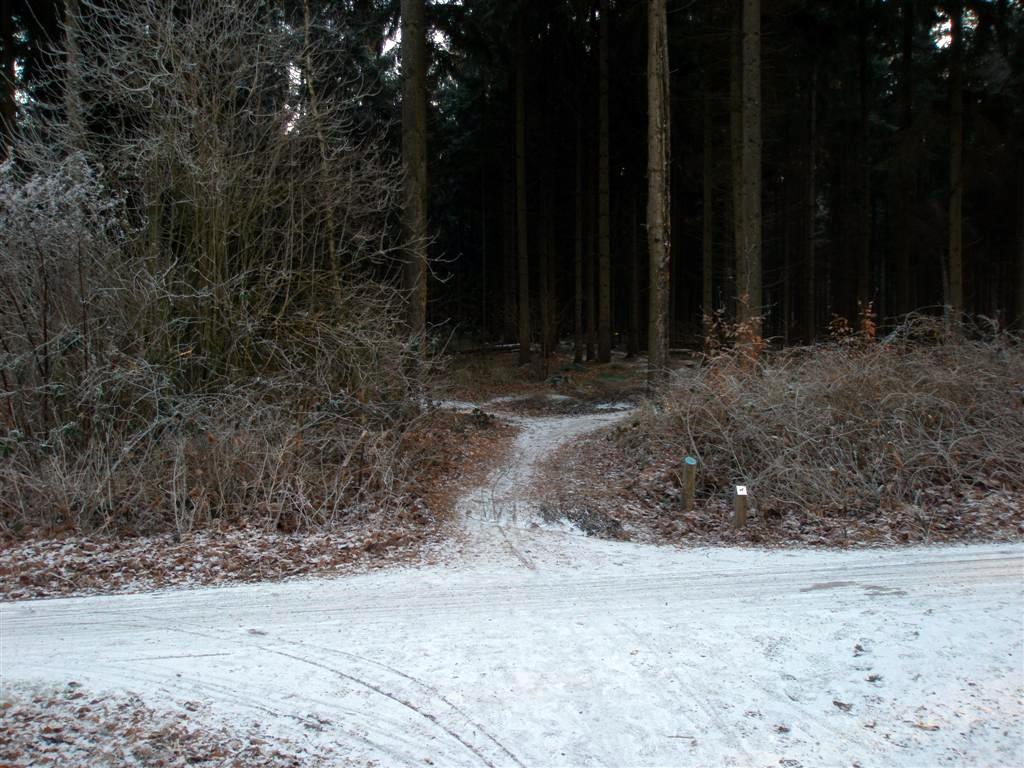 #40453 - Vindplaats 6