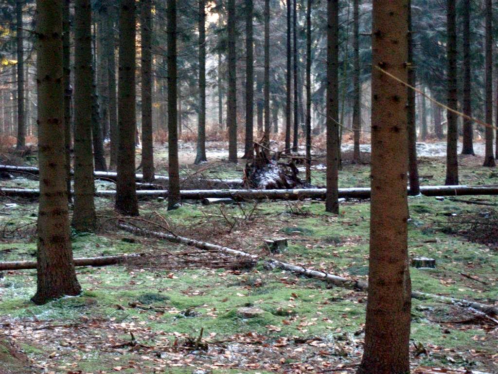 #40457 - Vindplaats 2
